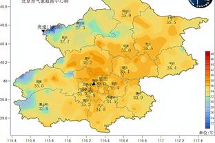 开云平台网站登录入口官网查询截图3